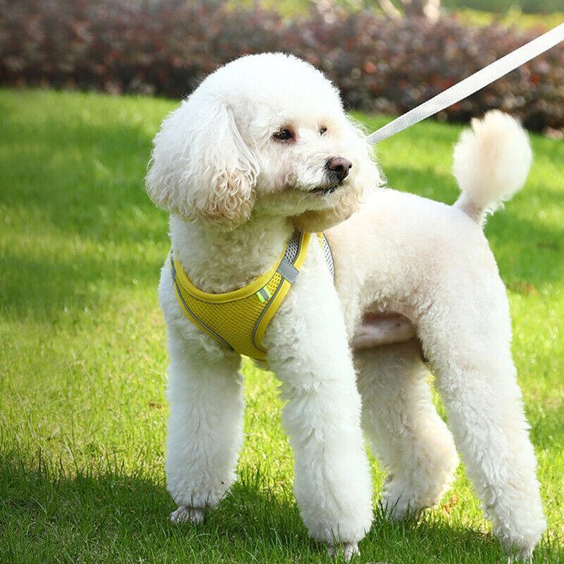 Pet Dog Harness Adjustable Reflective Breathable Outdoor Collars Strap Cat Leash Yellow